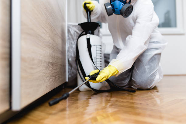 Best Pest Prevention Services  in Southworth, WA