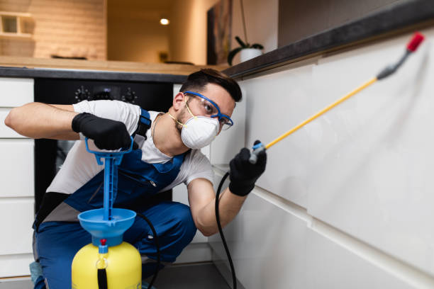 Flea Control Services in Southworth, WA