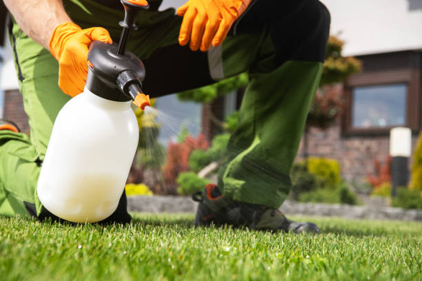 Best Best Pest Control Companies  in Southworth, WA