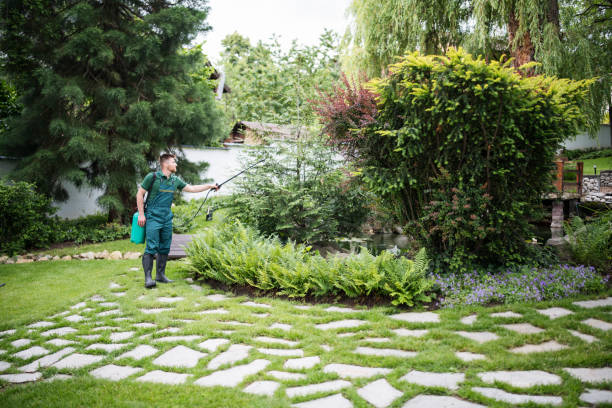 Best Pest Control Near Me  in Southworth, WA