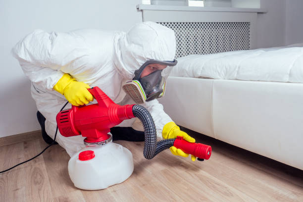 Best Affordable Exterminators  in Southworth, WA