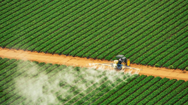 Best Pest Control Near Me  in Southworth, WA