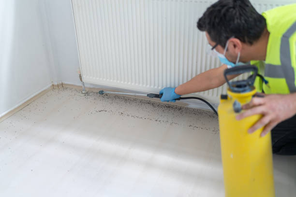 Best Best Pest Control Companies  in Southworth, WA